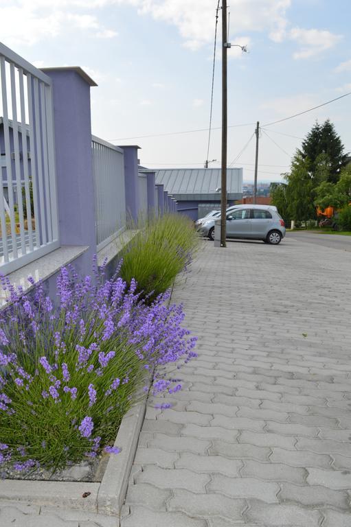 Pansion Antonio Bed & Breakfast Slavonski Brod Eksteriør bilde