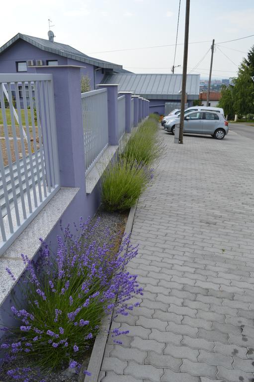Pansion Antonio Bed & Breakfast Slavonski Brod Eksteriør bilde